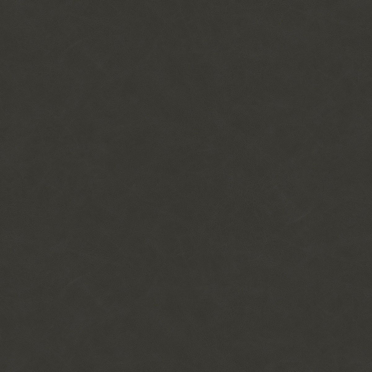 PL 650 - Premium Füme Deri