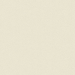 PP 691 - Premium Boyalı  Bej